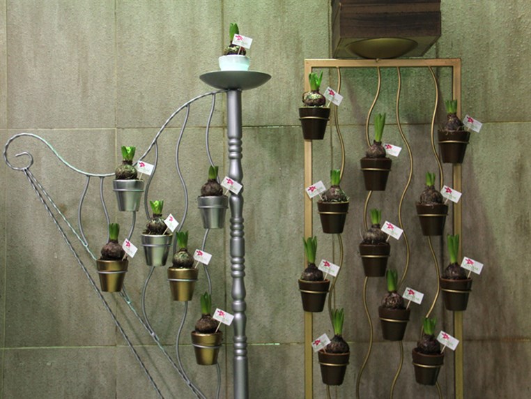 Opening of Zanbak Flower Boutique 